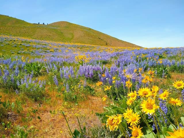Sage Hills Trailhead - Image 2