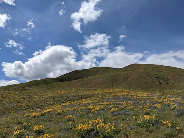 Sage Hills Trailhead - Image 1
