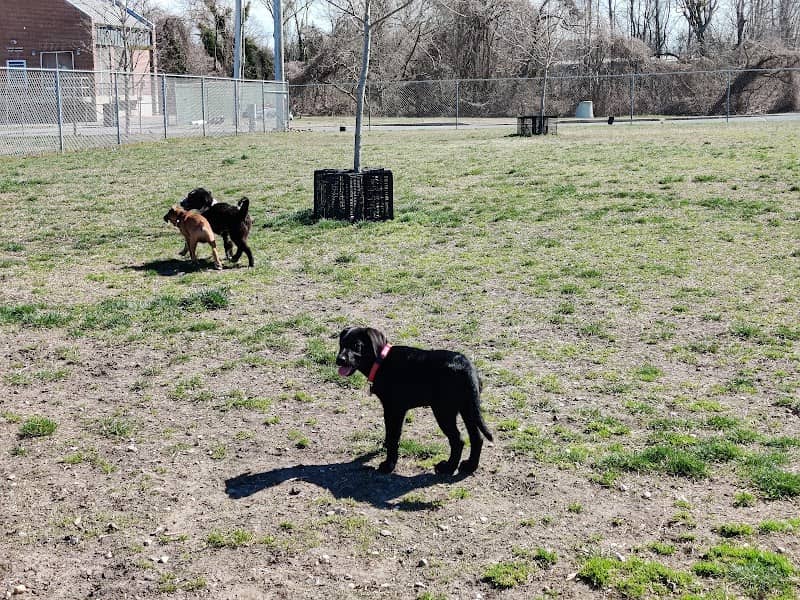 Milford Dog Park - Image 1