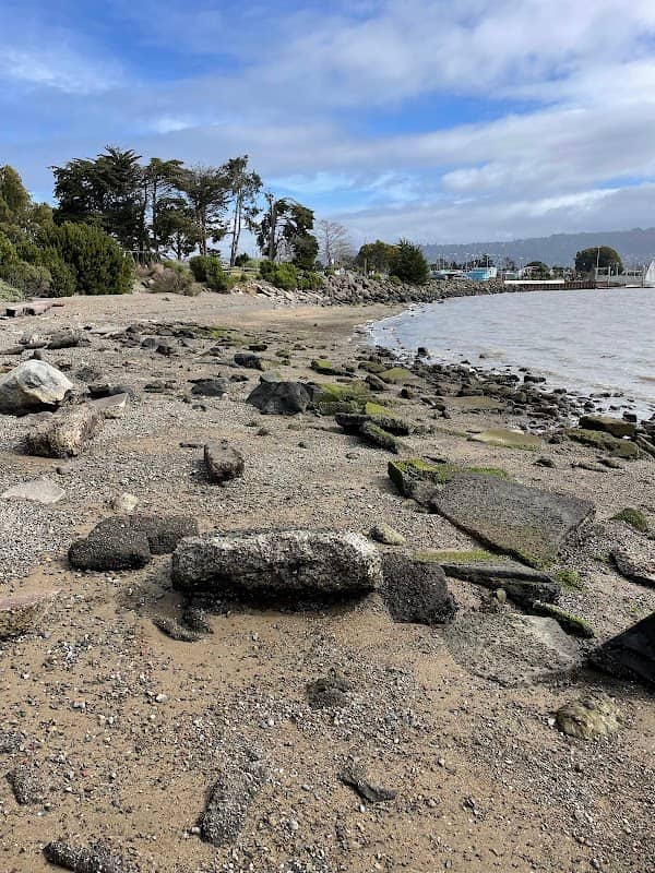 Shorebird Beach - Image 1