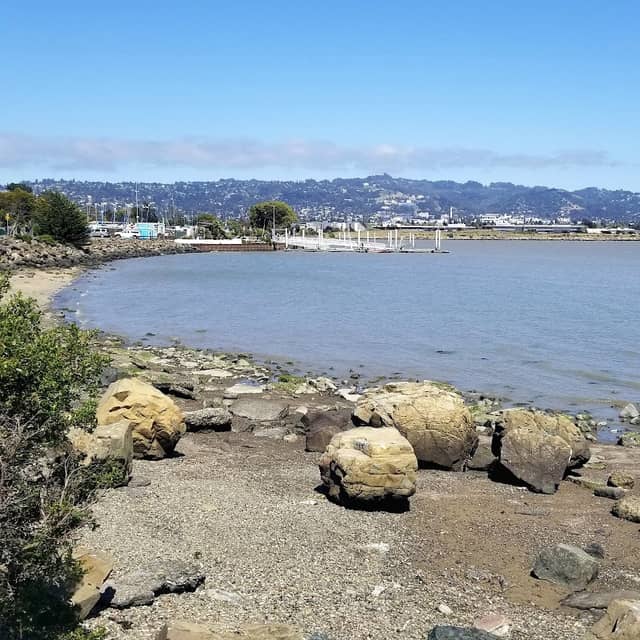 Shorebird Beach - Image 2