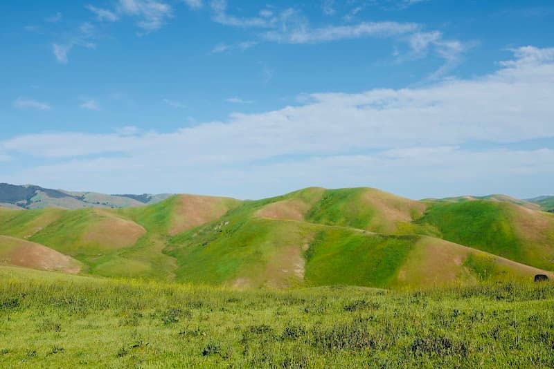 Hidden Valley Open Space - Image 1