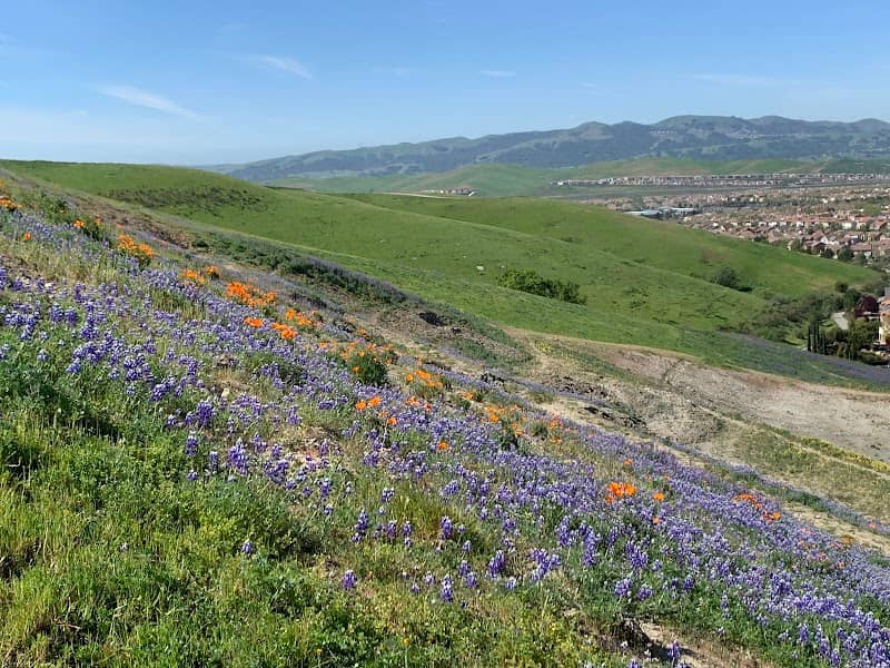 Hidden Valley Open Space - Image 2