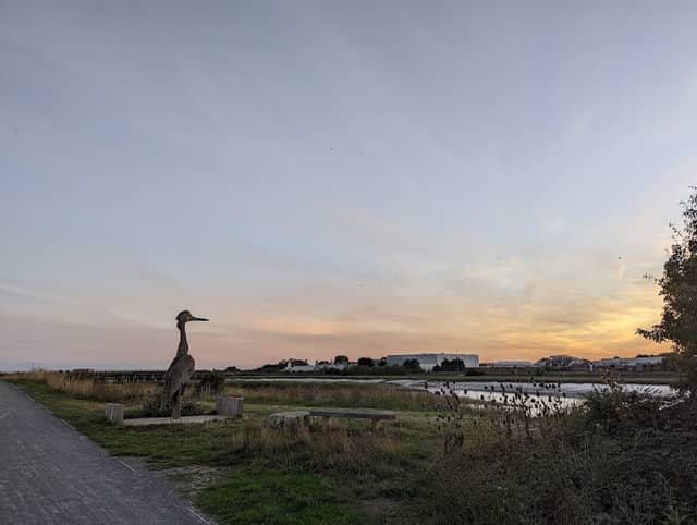 Wood Heron Sculpture - Image 2