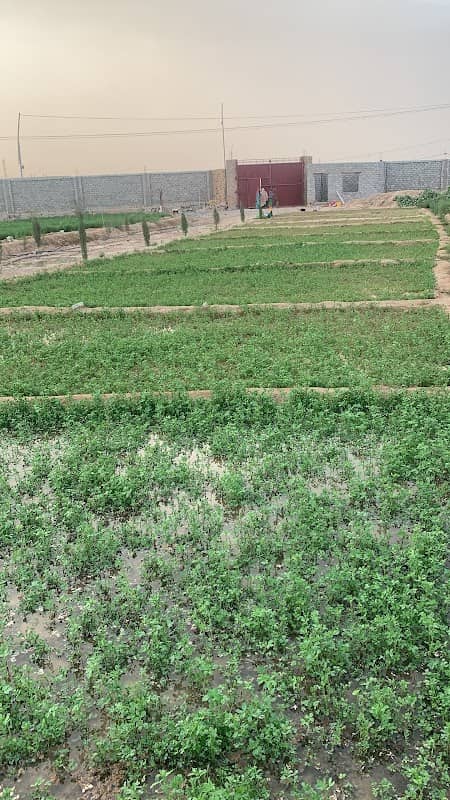 MA.FARM HOUSE - Image 2