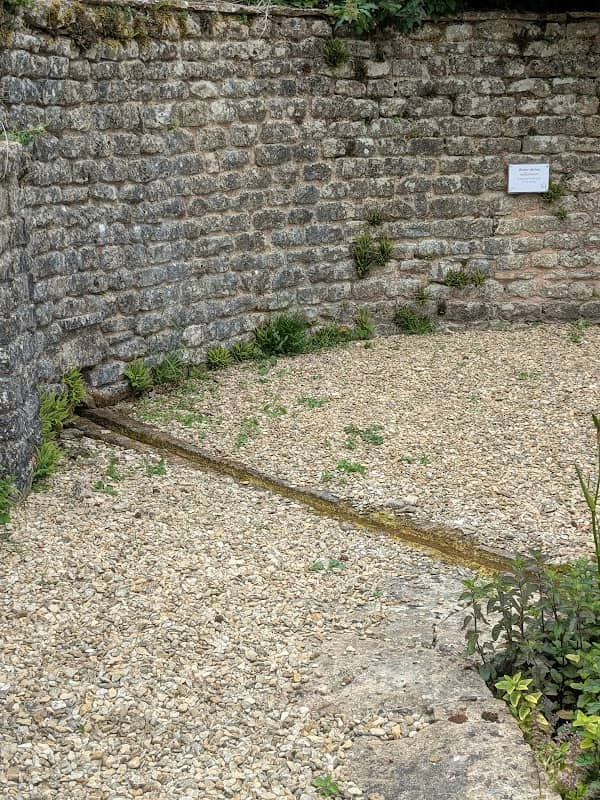 Water Shrine (Nymphaeum) - Image 1