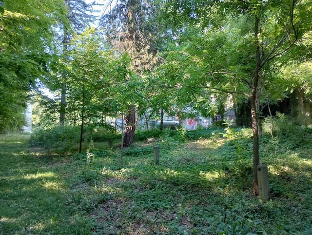 Sexton Prospect Park - Image 2