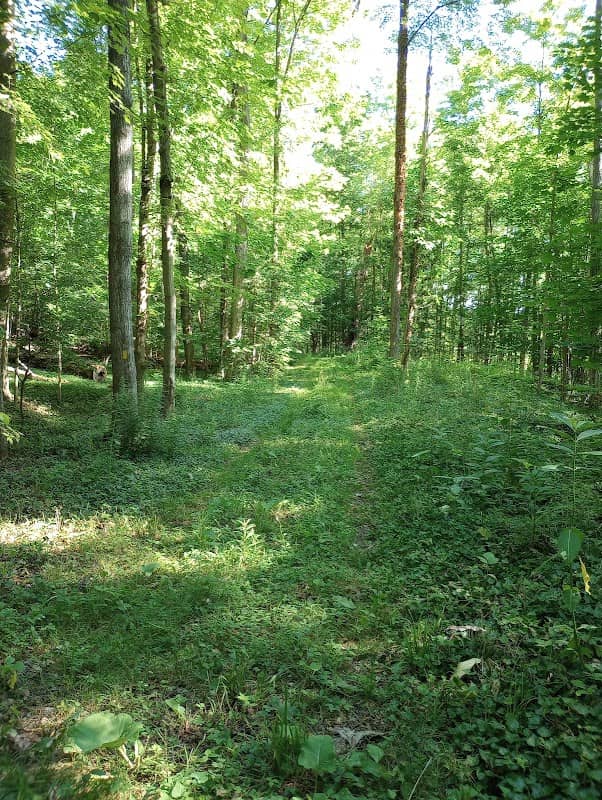 Sexton Prospect Park - Image 1