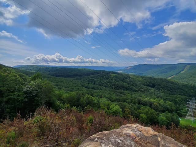 Raccoon Mountain Mtb Trail - Image 2