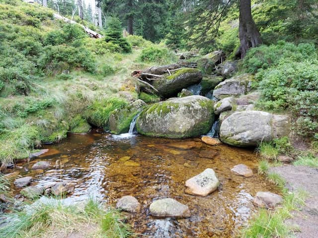 Mostek nad strumieniem - Image 2