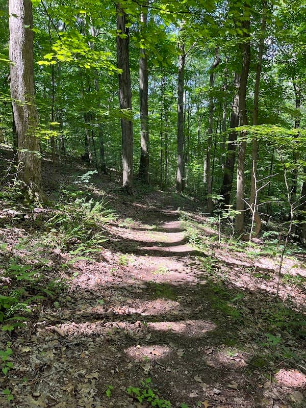 Ryerson Station State Park - Image 2