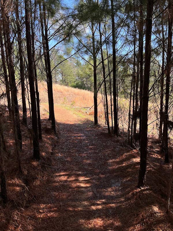 Flemming Park on the Cahaba - Image 1