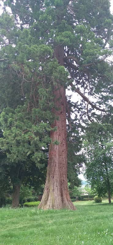 Parc Foncin - Image 2