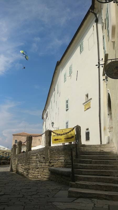 Paragliding Motovun - Image 1