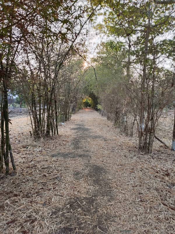 Botanical Garden MUMU, Udgir - Image 1