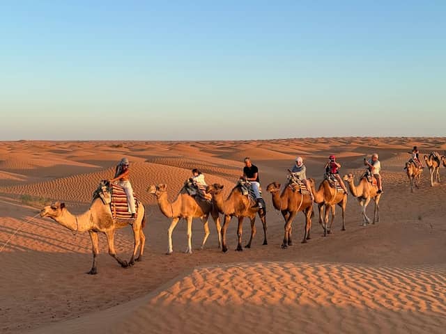 Tunisia Travel Guide - Image 1