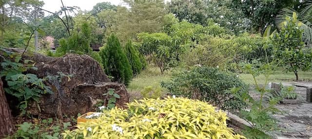 Natural garden - Image 1