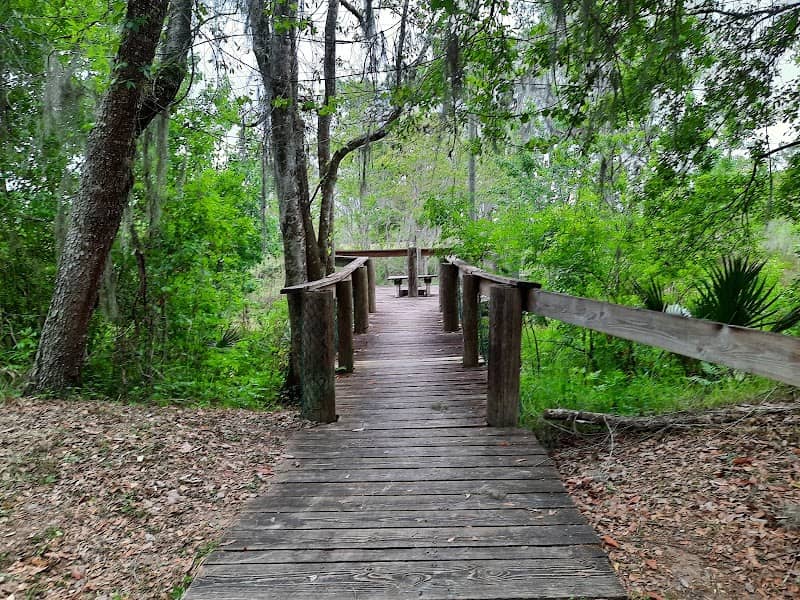 TECO AUBURNDALE TRAIL - Image 1