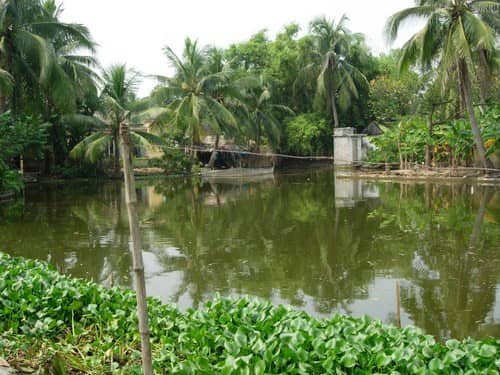 Công Viên Di Tích Ao Uống Cần Giuộc - Image 1