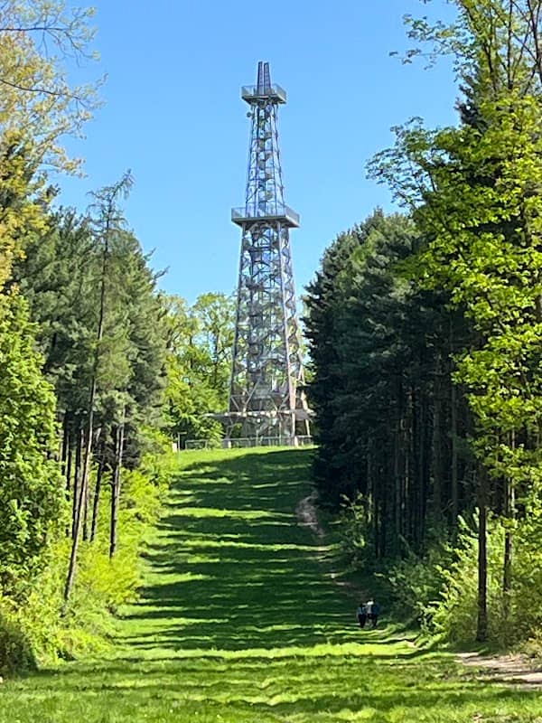 Nagykanizsai kilátó - Image 1