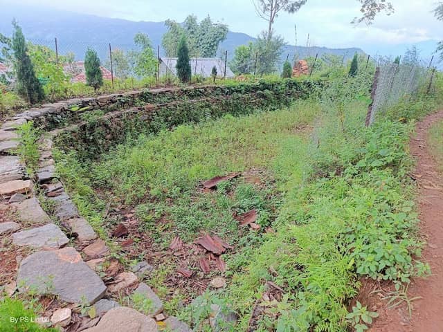 चन्द्रमा पोखरी - Image 1