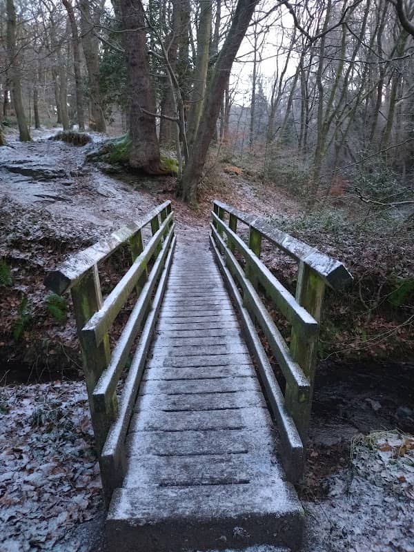 Pontburn Linn Waterfall - Image 2