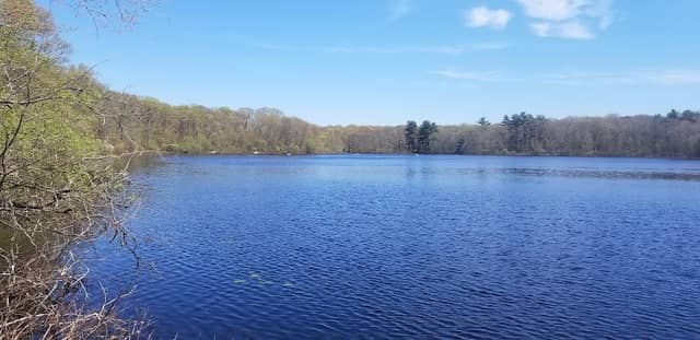 Pond Meadow Park - Image 2