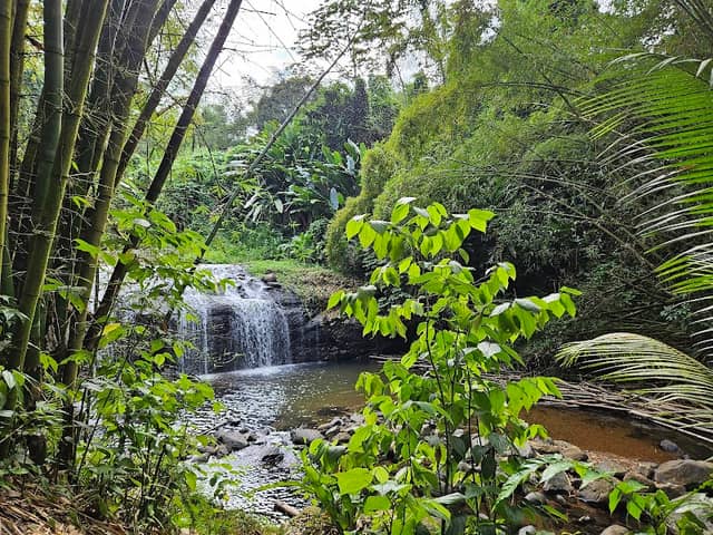 Cascade de la crabe - Image 1