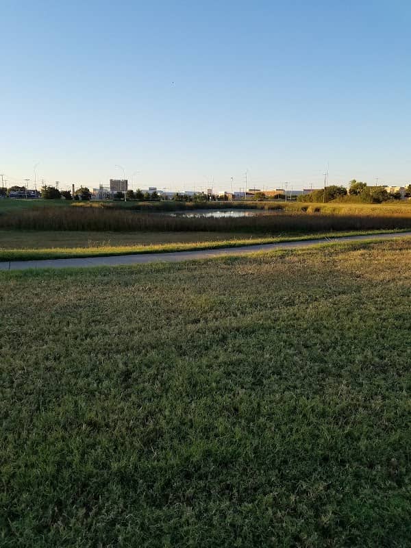 Maplewood Pond - Image 1