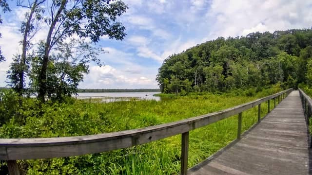 Voorhees Nature Preserve - Image 2