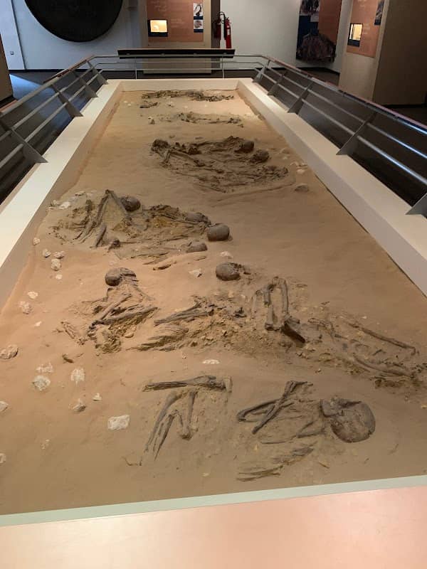 Sharjah Archaeology Museum - Image 2