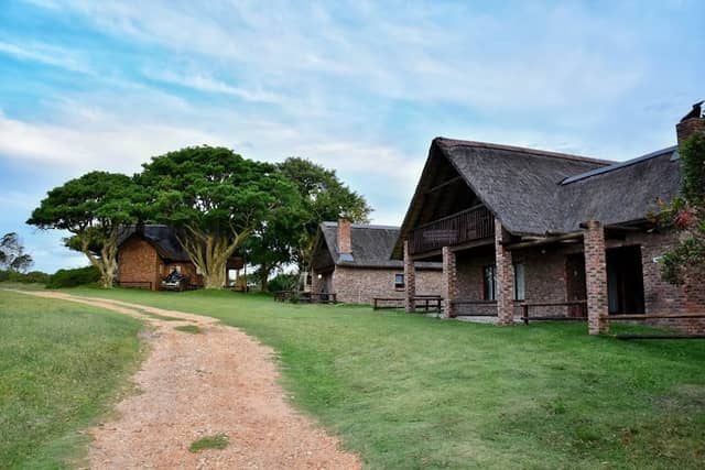 Kragga Kamma Game Park - Image 2