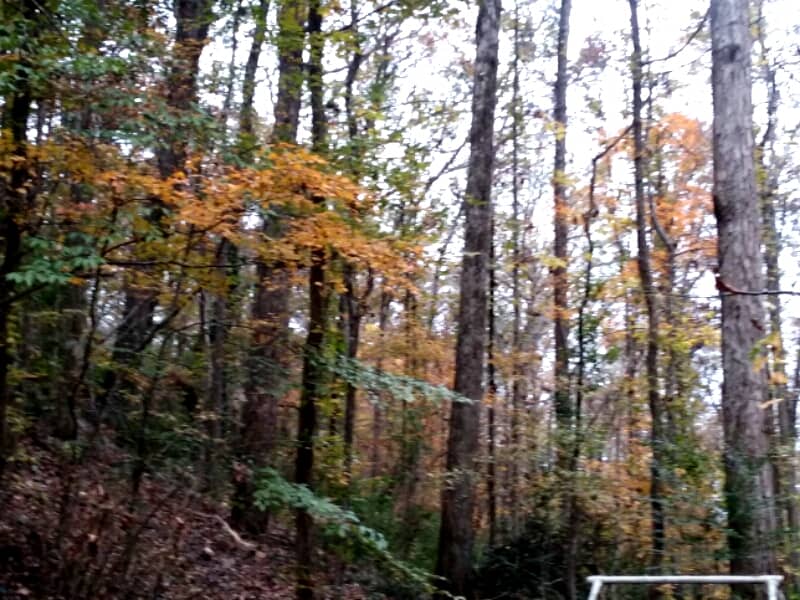 Cross Creek Park - Image 1