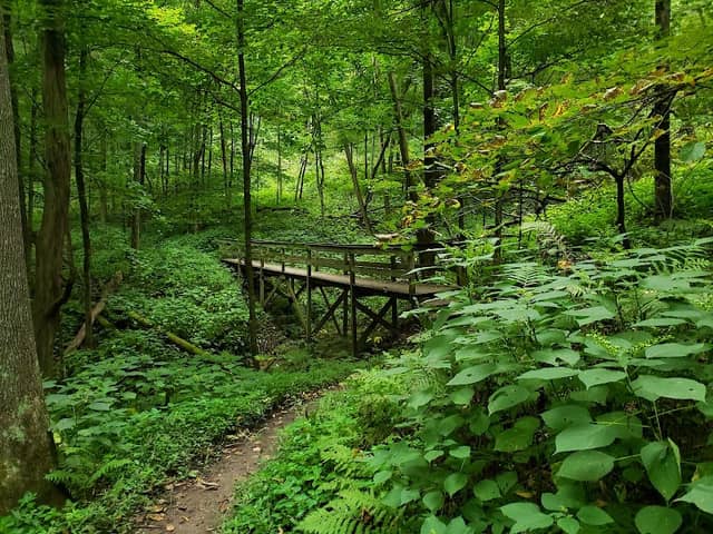 Wildcat Mountain State Park - Image 2