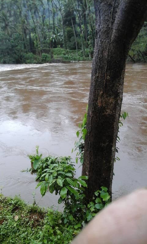 Velanilam Check Dam - Image 1
