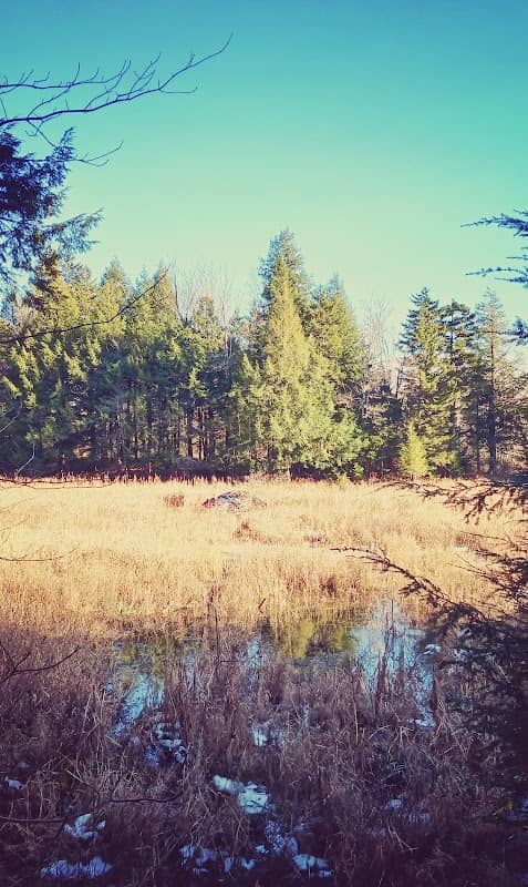 Eurich Pond Trailhead - Image 2