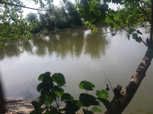 Waduk Pucuk - Image 1