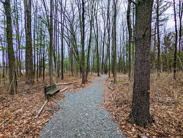 Salem Park - Image 2