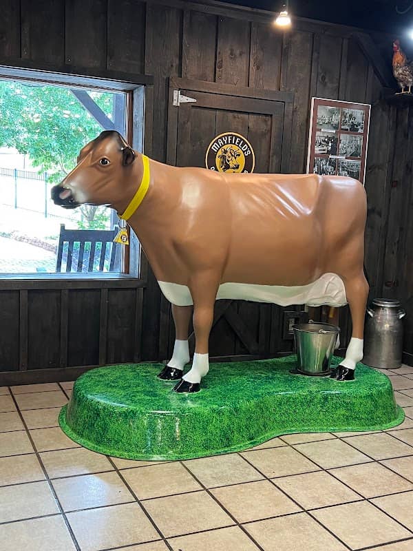 Mayfield Dairy Tours - Image 2