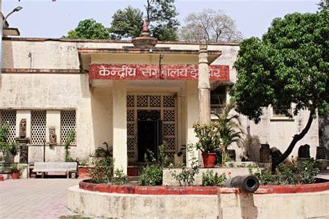 Central Museum, Indore - Image 2