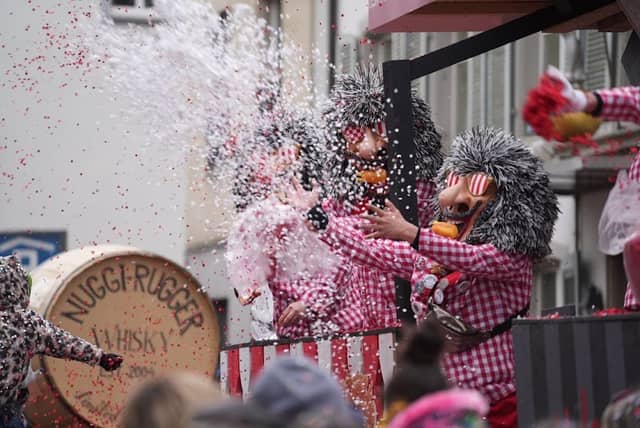 Fasnacht Liestal - Image 3
