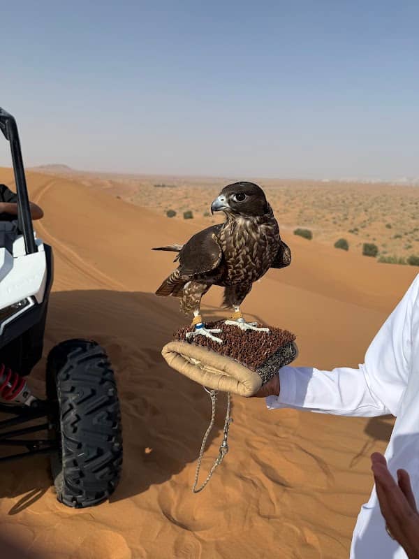 Iconic Tourism (Desert Meeting Point) - Image 1