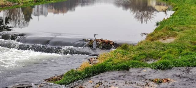Opava Plštský potok soutok - Image 1