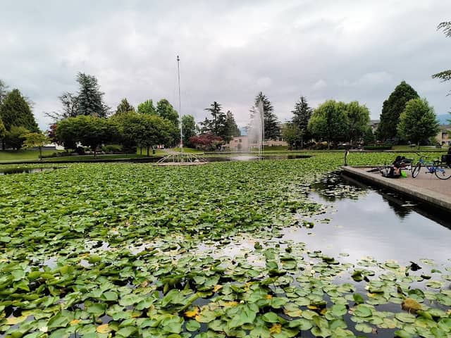 Salish Park - Image 1