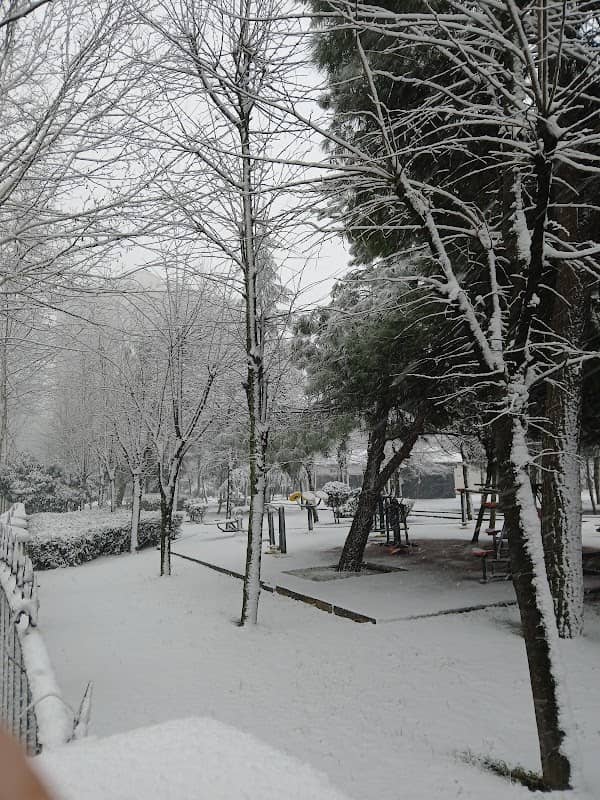 Nazım Hikmet Blv - Image 2
