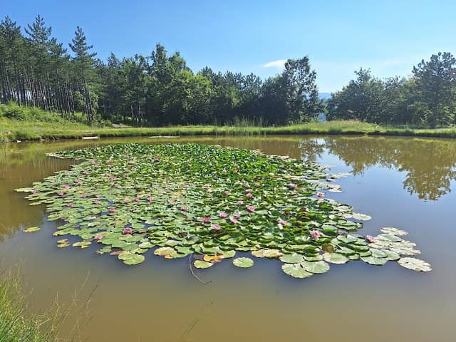 Galantiči lake - Image 1