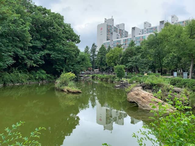 인천옥련 ICOR - Image 1