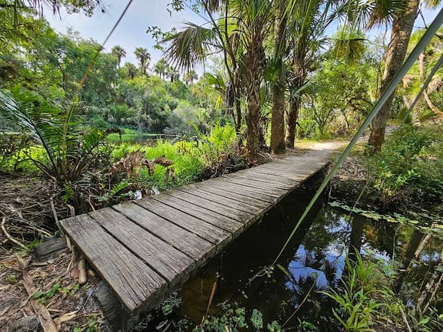 Ten Mile Creek Preserve - Image 2