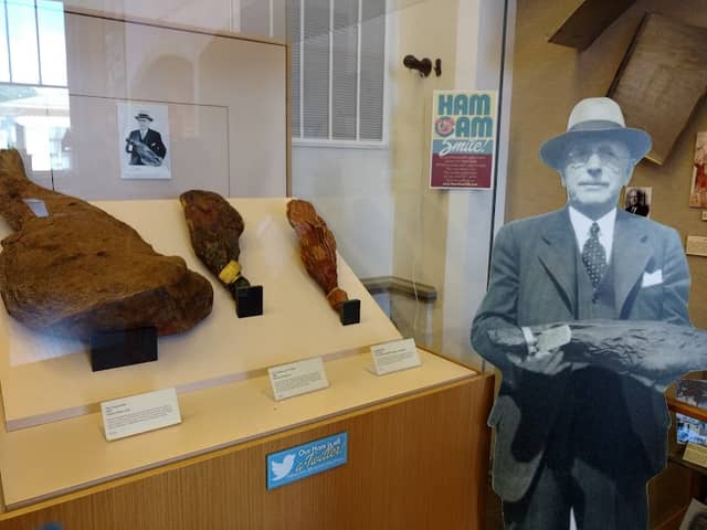 Isle of Wight County Museum - Image 1