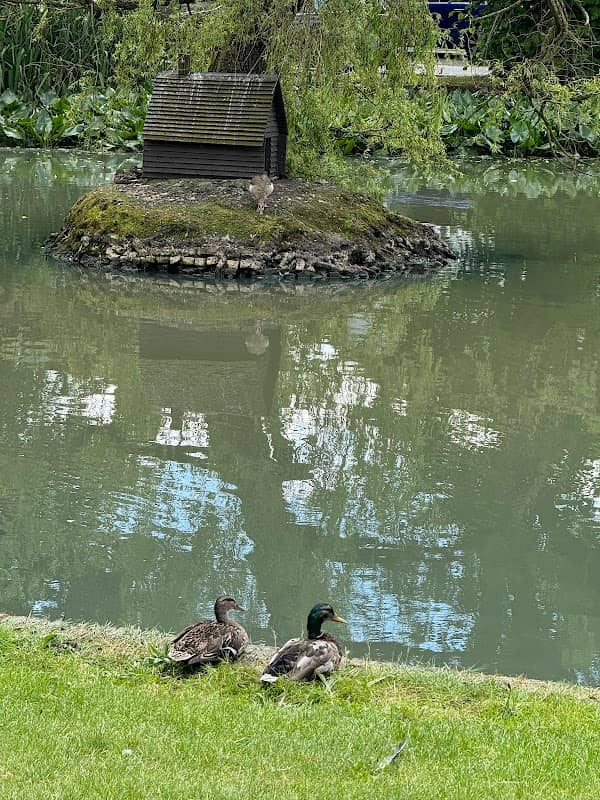 Godstone Pond - Image 1